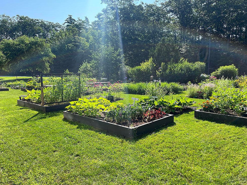 Gardening season has started!