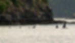 DSC00581-Enhanced-NR.jpg