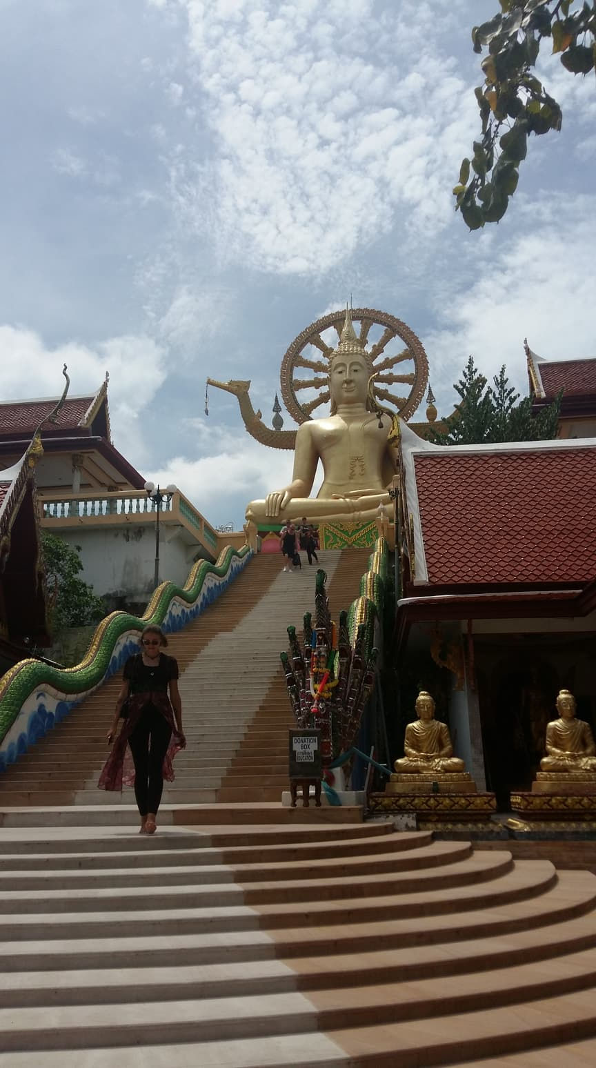 Thumbnail: Jungle Discovery Tour (Program B)(Adult)