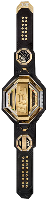 UFC-belt-2019_edited_edited.png