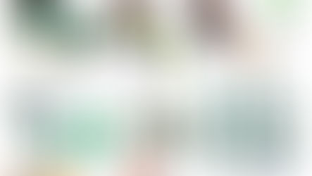 AMERICAN VARIETY GOODS