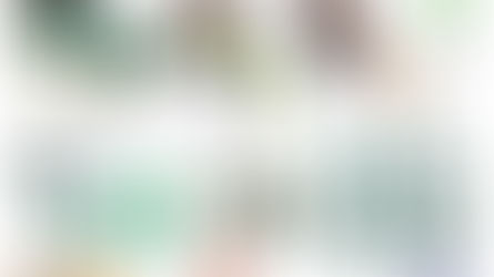 AMERICAN VARIETY GOODS