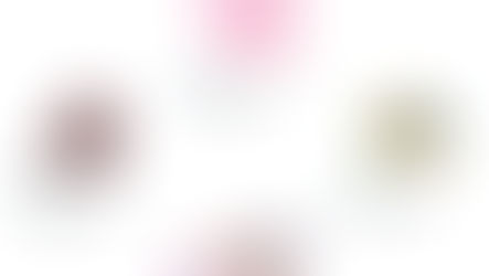 WILD REPUBLIC 3月16日最新情報