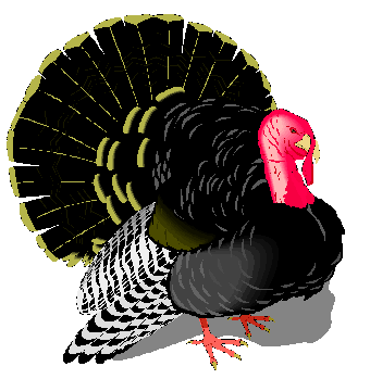 turkey.gif