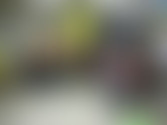 Atelier WII à l’EHPAD Résidence les Briances