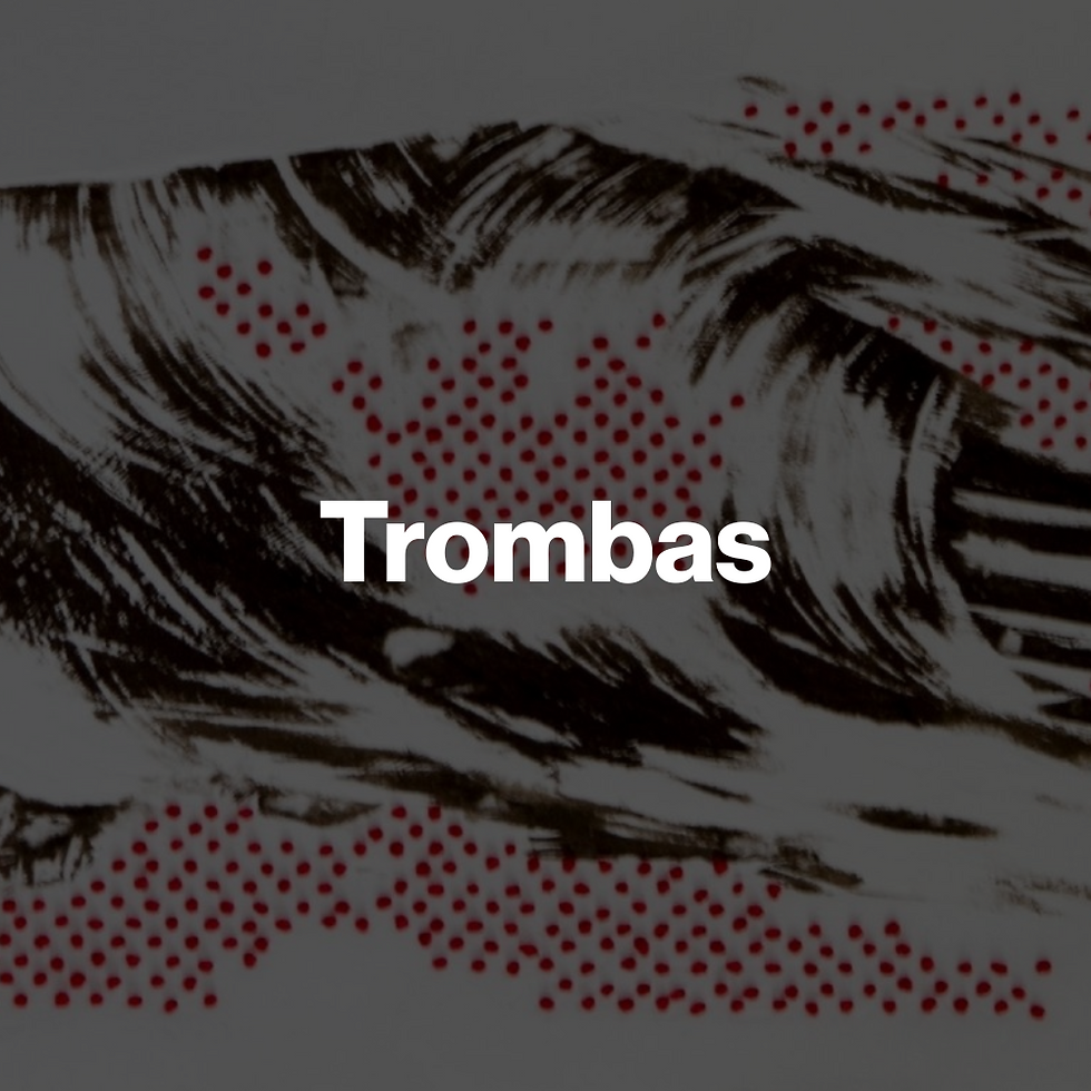 Trombas_Marcela Carvajal