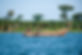 © Milan Amini Photography_Taufe_DSC1745.jpg