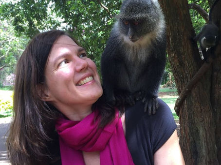 Insta-Trend Rückblick 2016 - Doktorarbeit in London, Nairobi, Bremen