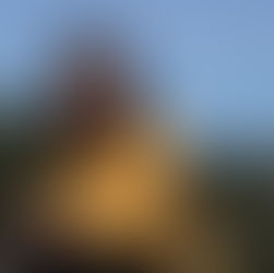 Mein Jahresrückblick 2024