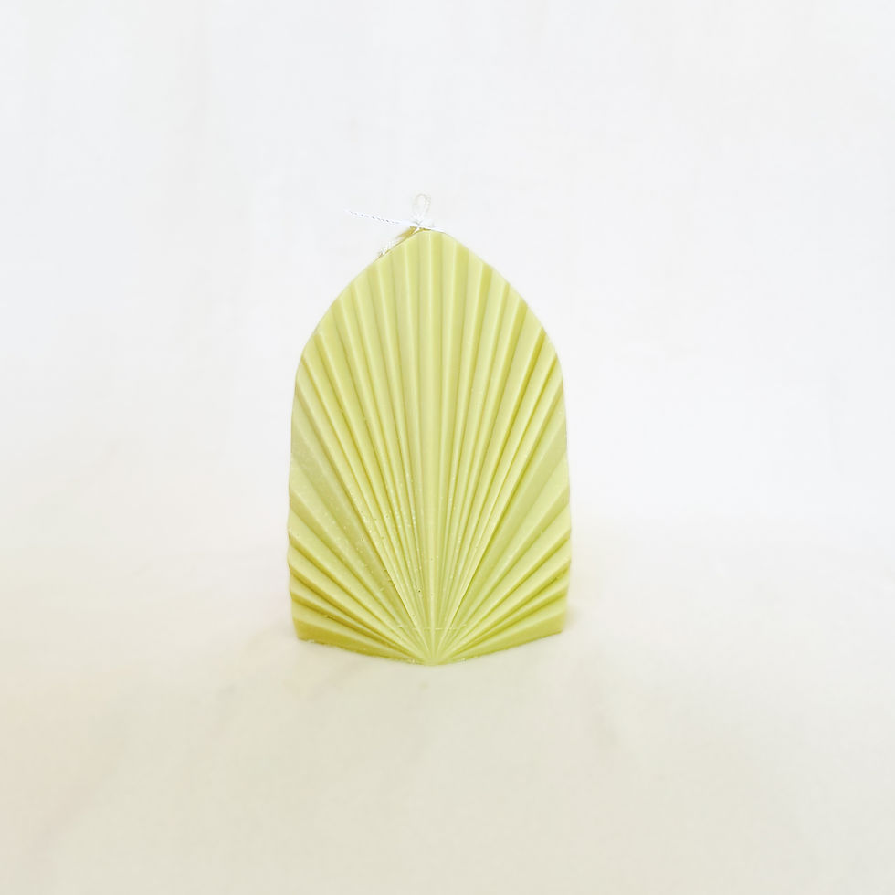 Palm