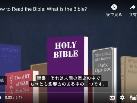 How to read... and How to utilize?