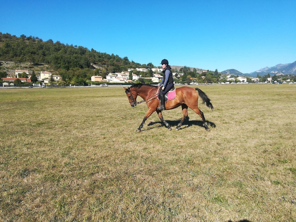 IMG_20200905_095759_020