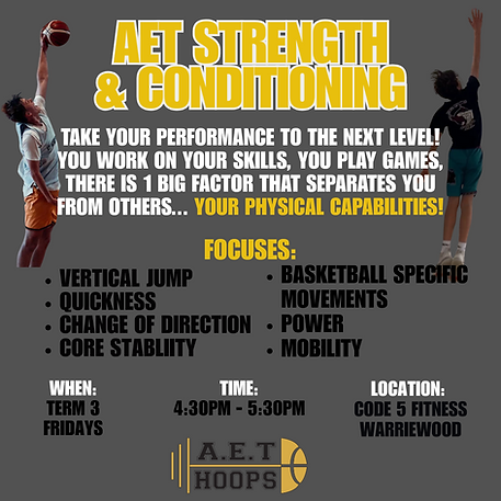 S&C TERM 3.png