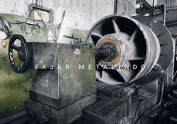 Stainless Steel Impeller
