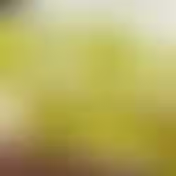🍇 Barra de Uvas Verdes com Chocolate Branco