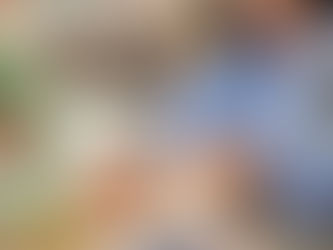 education consultant Australia