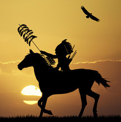 Indianer Papagei Rostkappenpapagei Blog Liveparrot