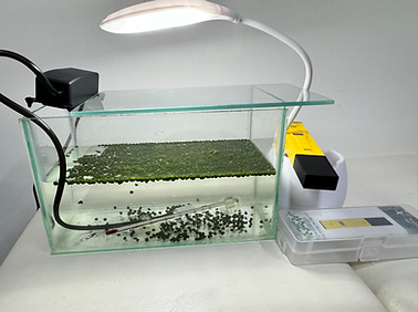 Finished bioreactor