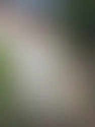 "Revitalize Your Outdoor Spaces: The Importance of Driveway and Patio Repointing"