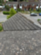 Manual Roof Clean After