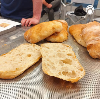 pieczywo-miesiarka-dwuramienna