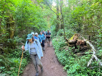 Group hiking on natural trail in wooded area