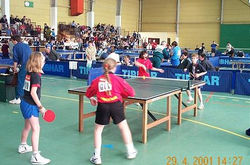 Image157.JPG