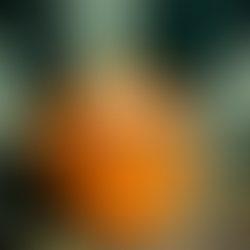 Ceramic Bottles for Tequila: A Premium Packaging Strategy