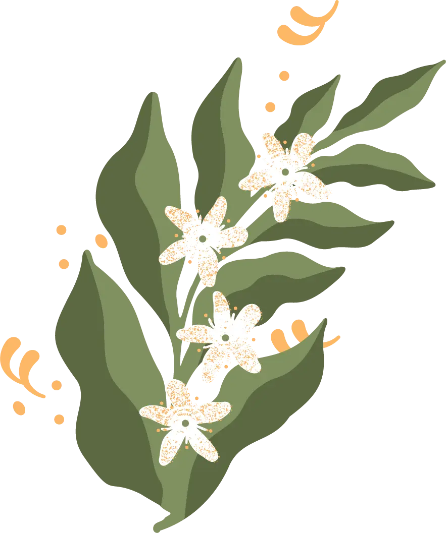 Flor de Aroma brand element
