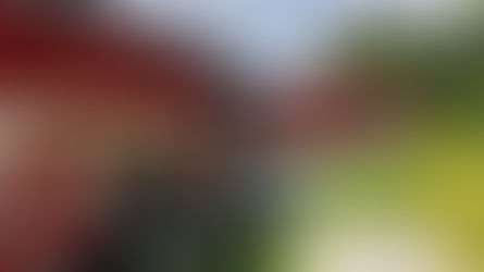 Un bote se volcó en Lantana pero no hubo lesionados