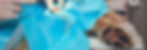 dog-surgery-Service1+(1).jpg