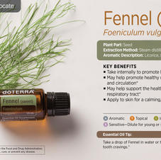 Sweet Fennel.jpeg
