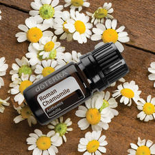 RomanChamomile.jpeg