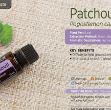 patchouli.jpeg