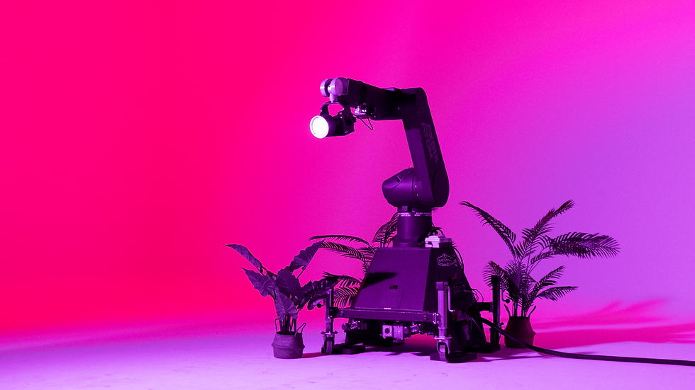 img_BOLT-fullshoot02.png