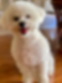 Archie