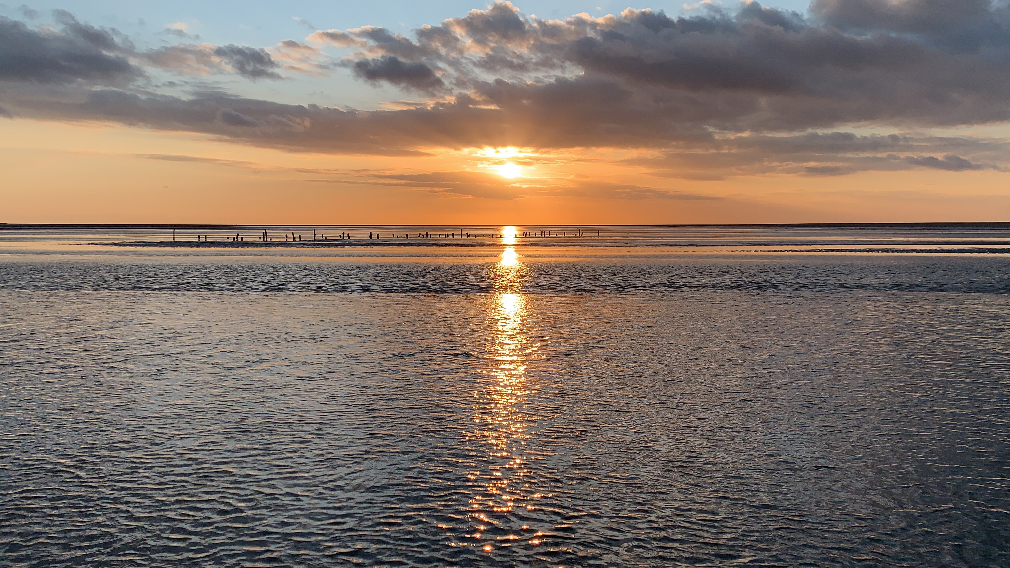 Sorties Art de Vivre en Baie de Somme
