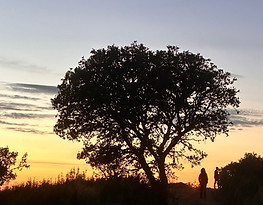 7f7443af-dd16-47d6-8525-afd3704c74f4.jpg