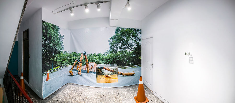 觀察，在箱子裡