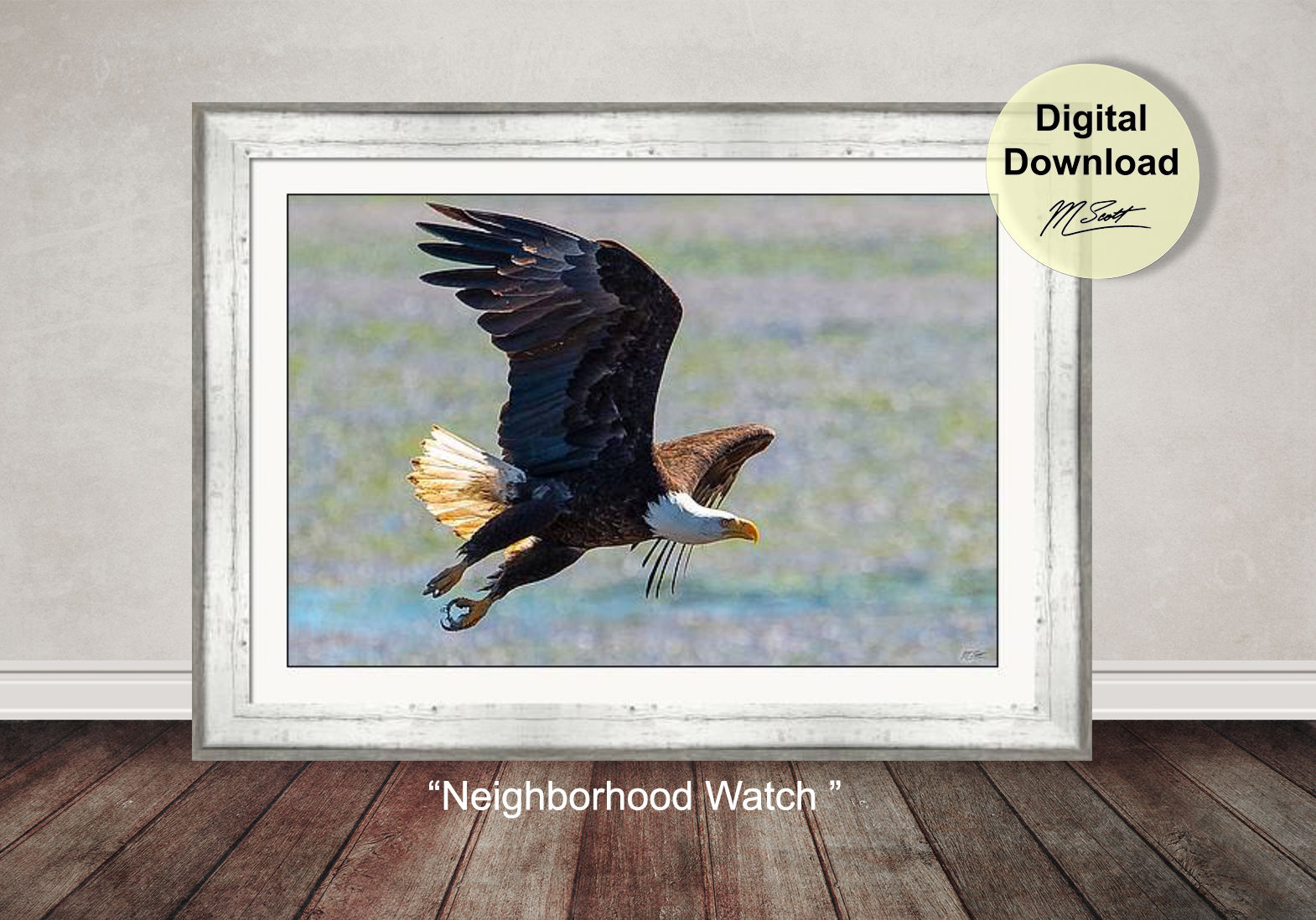 Printable Coastal Eagle  Wall Art Photography Download