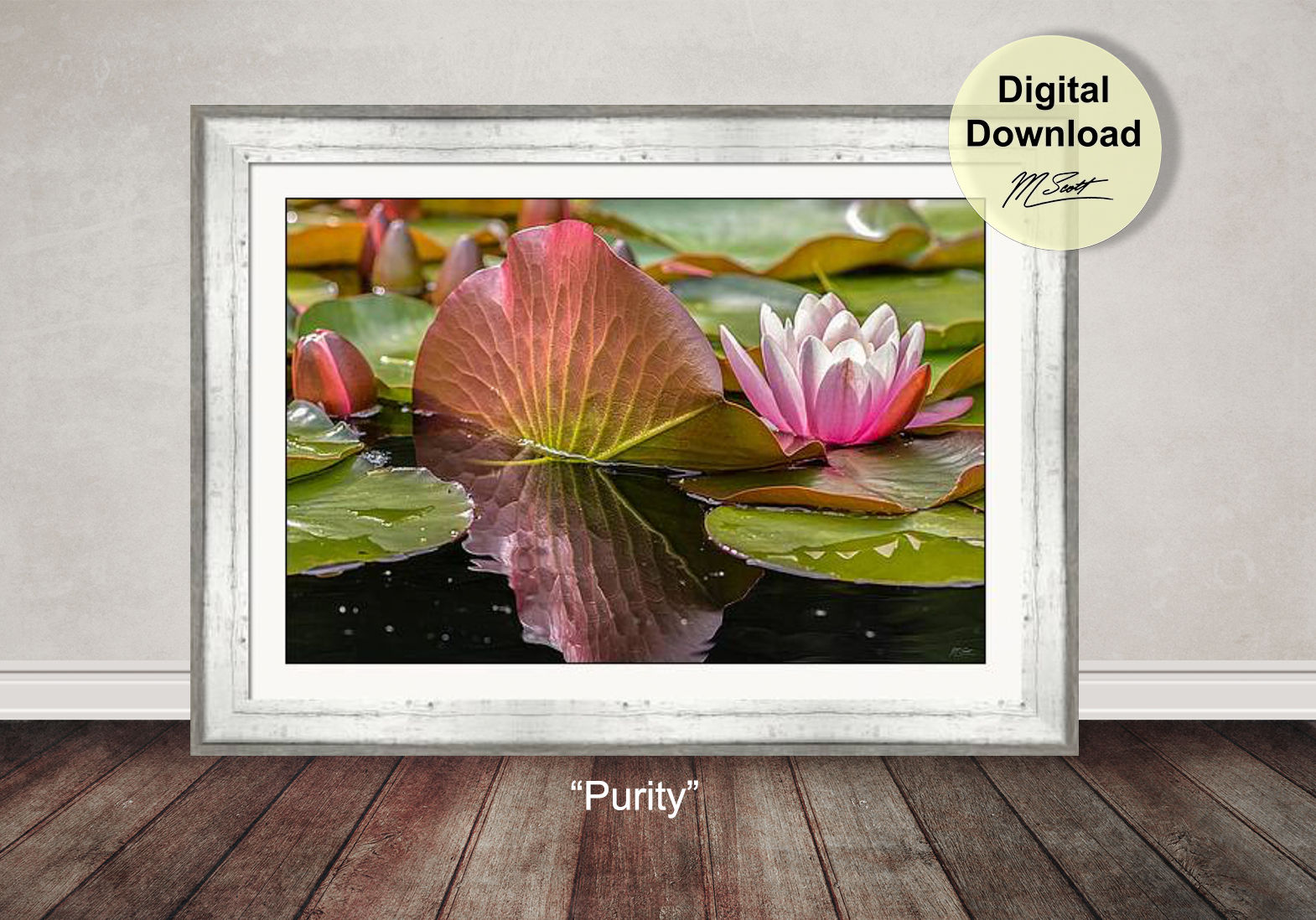 Printable Zen Lotus Wall Art Photography Download