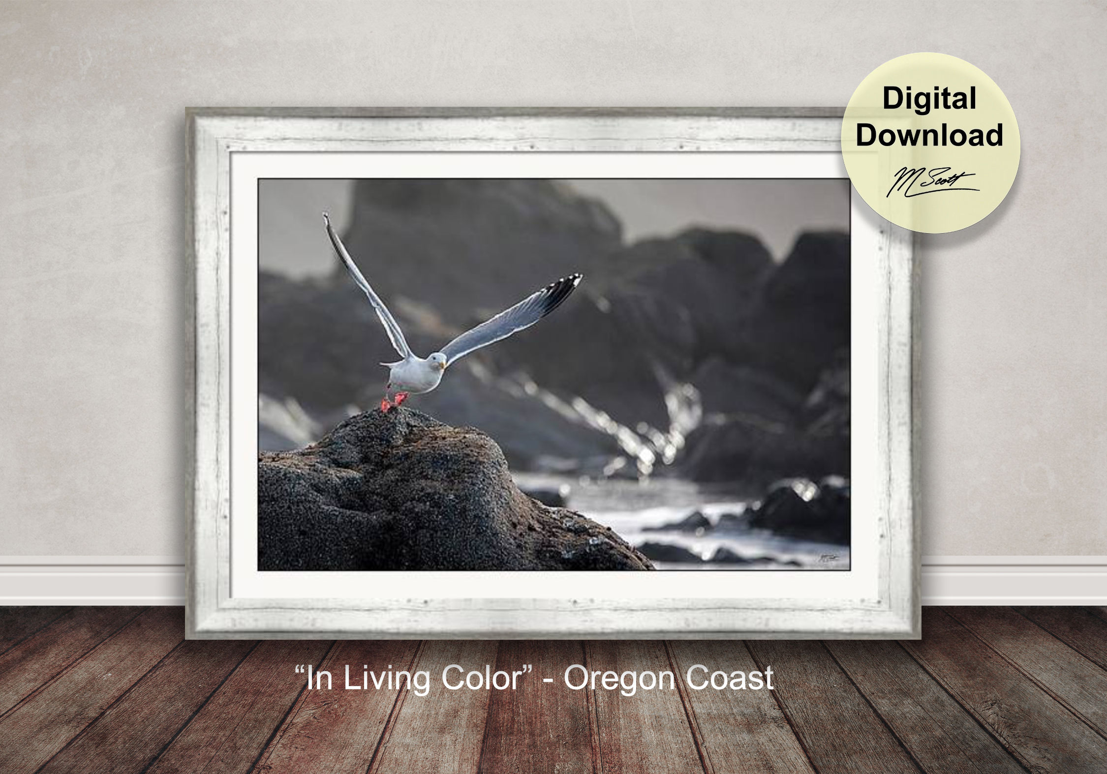 Printable Coastal Wall Art Photography Download