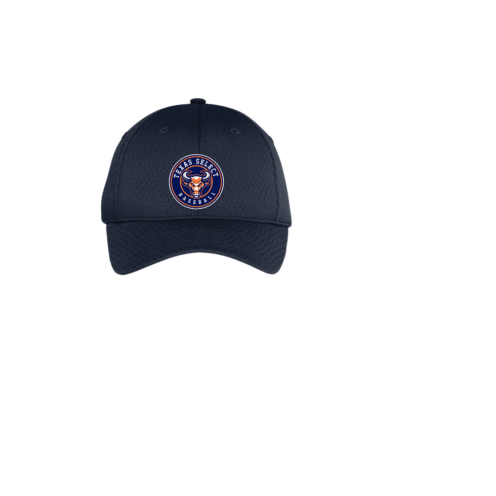 Thumbnail: Navy or Silver Texas Select Pro Mesh Cap