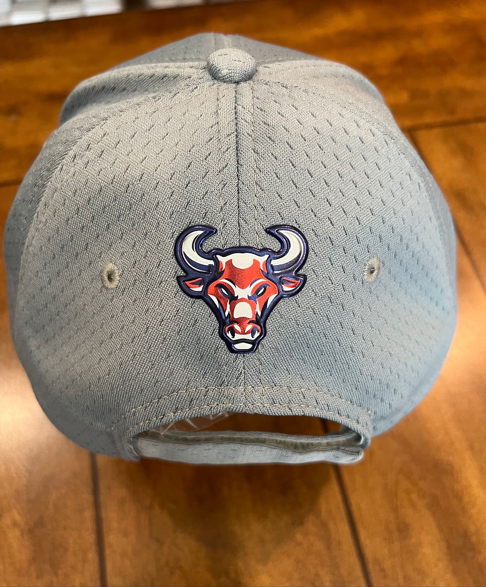 Thumbnail: Navy or Silver Texas Select Cap