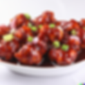 DALL·E 2023-02-12 11.57.59 - chicken manchurian .png