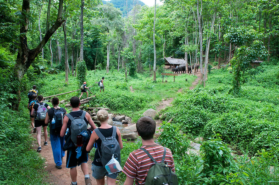 Jungle trekking