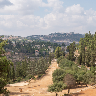 Scenic panoramic view of the Jerusalem hills and the Avenue of the Righteous from the Yad Vashem campus.