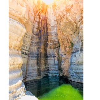 Emerald green water pool at the base of Ein Avdat waterfall.