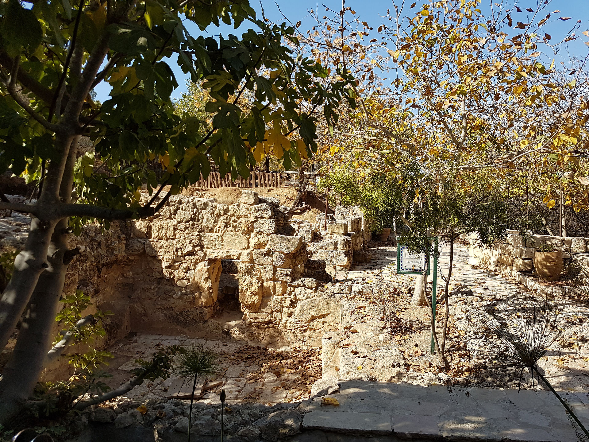 Stone ruins of an ancient structure at Ein Yael. Excavated walls of a Roman or Byzantine building surrounded by autumn trees and foliage.