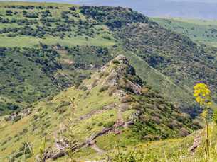 The dramatic camel-shaped ridge of Gamla Nature Reserve, known as the Masada of the North, in the Golan Heights.